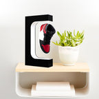 Lampada da Scarpe Fluttuante