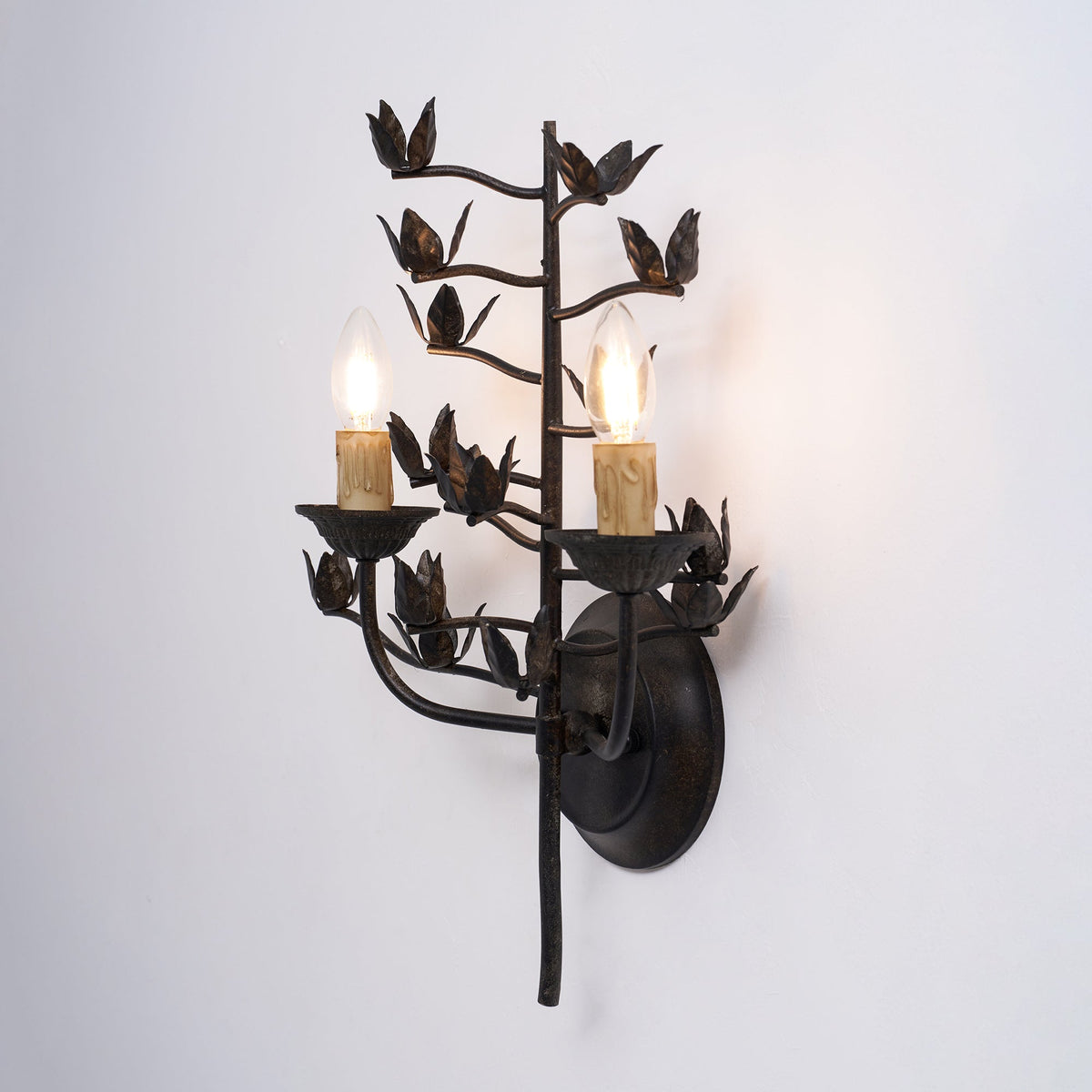 Lampada da Parete Ferroarte Branch