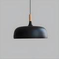 AltoLume Light - Lampada a sospensione LED nordica