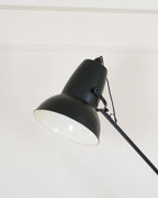 Lampada da Terra Gigante