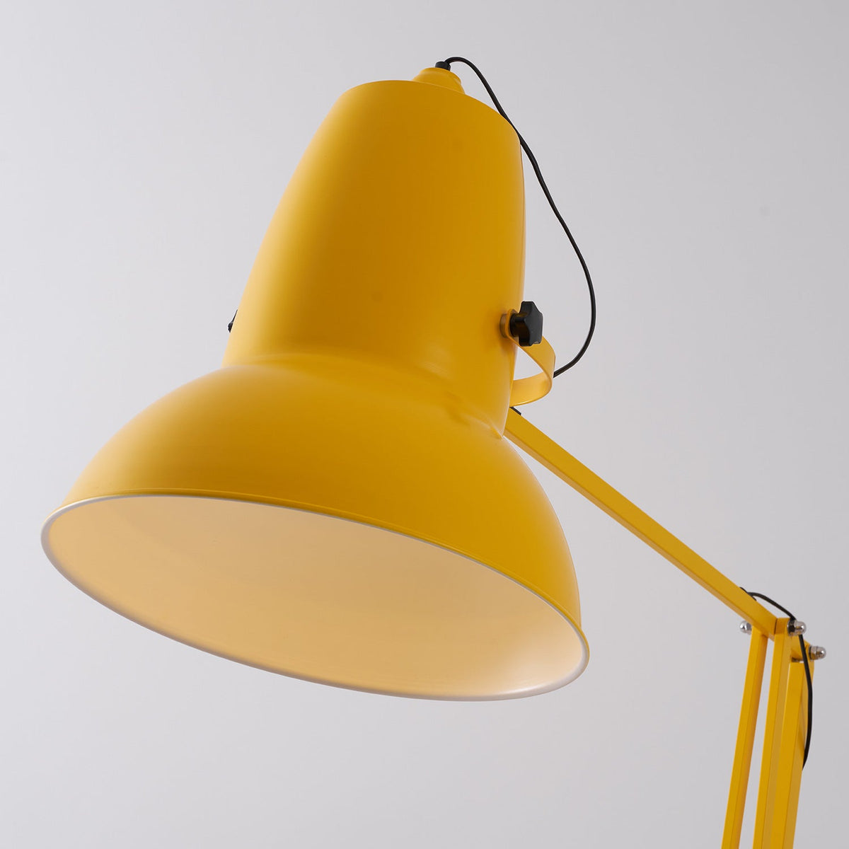 Lampada da Terra Gigante