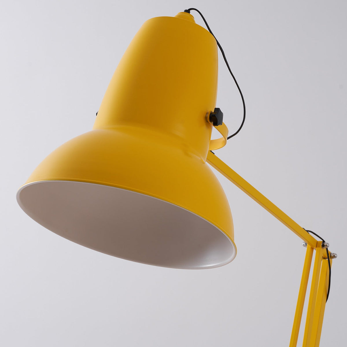 Lampada da Terra Gigante