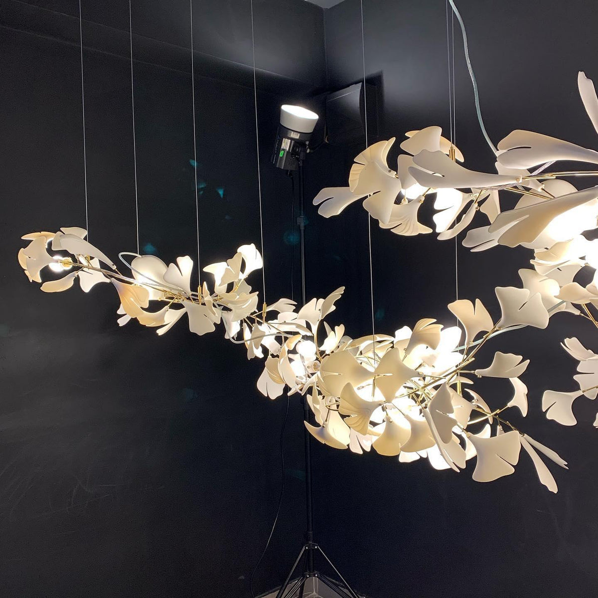 Lampadario Gingko Bloom