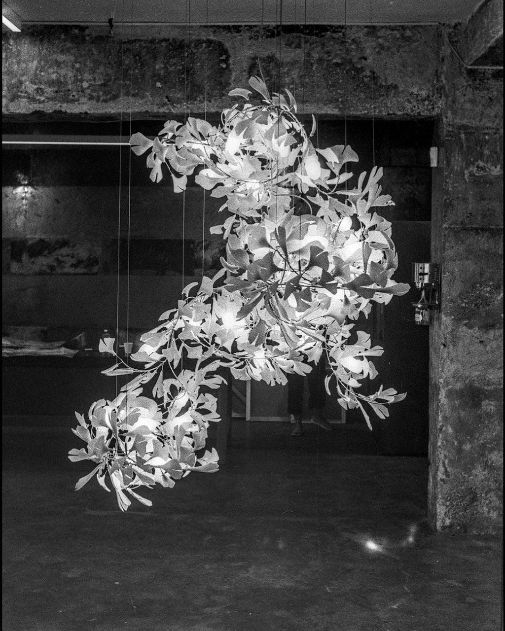 Lampadario Gingko Vortex
