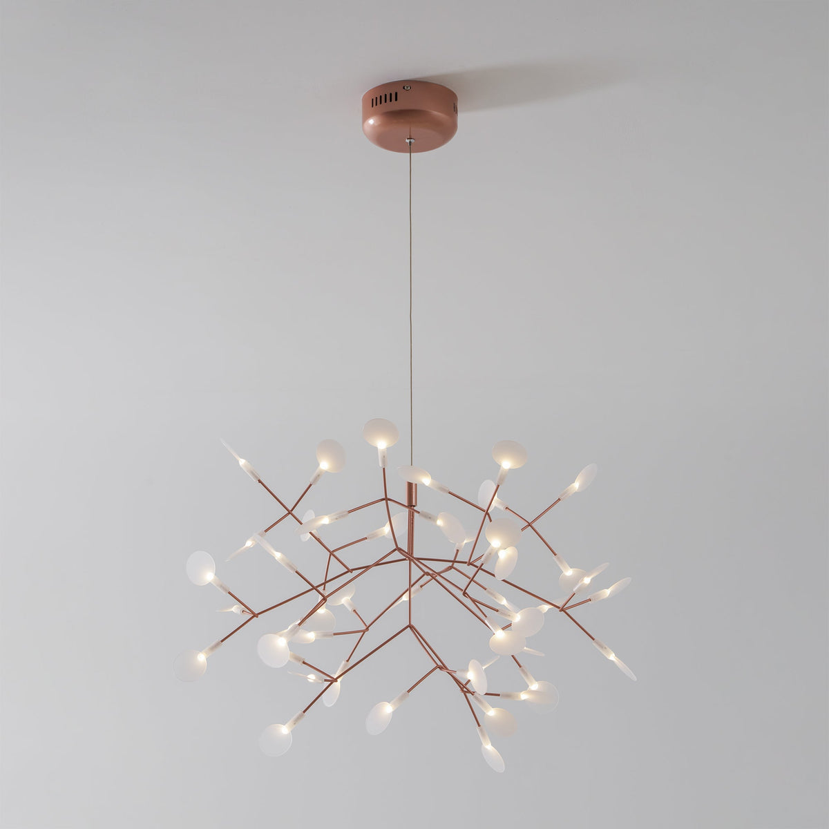 Lampadario Heracleum