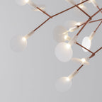 Lampadario Heracleum