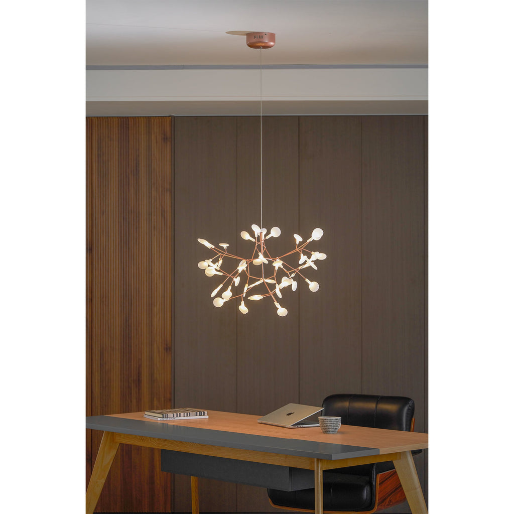Lampadario Heracleum