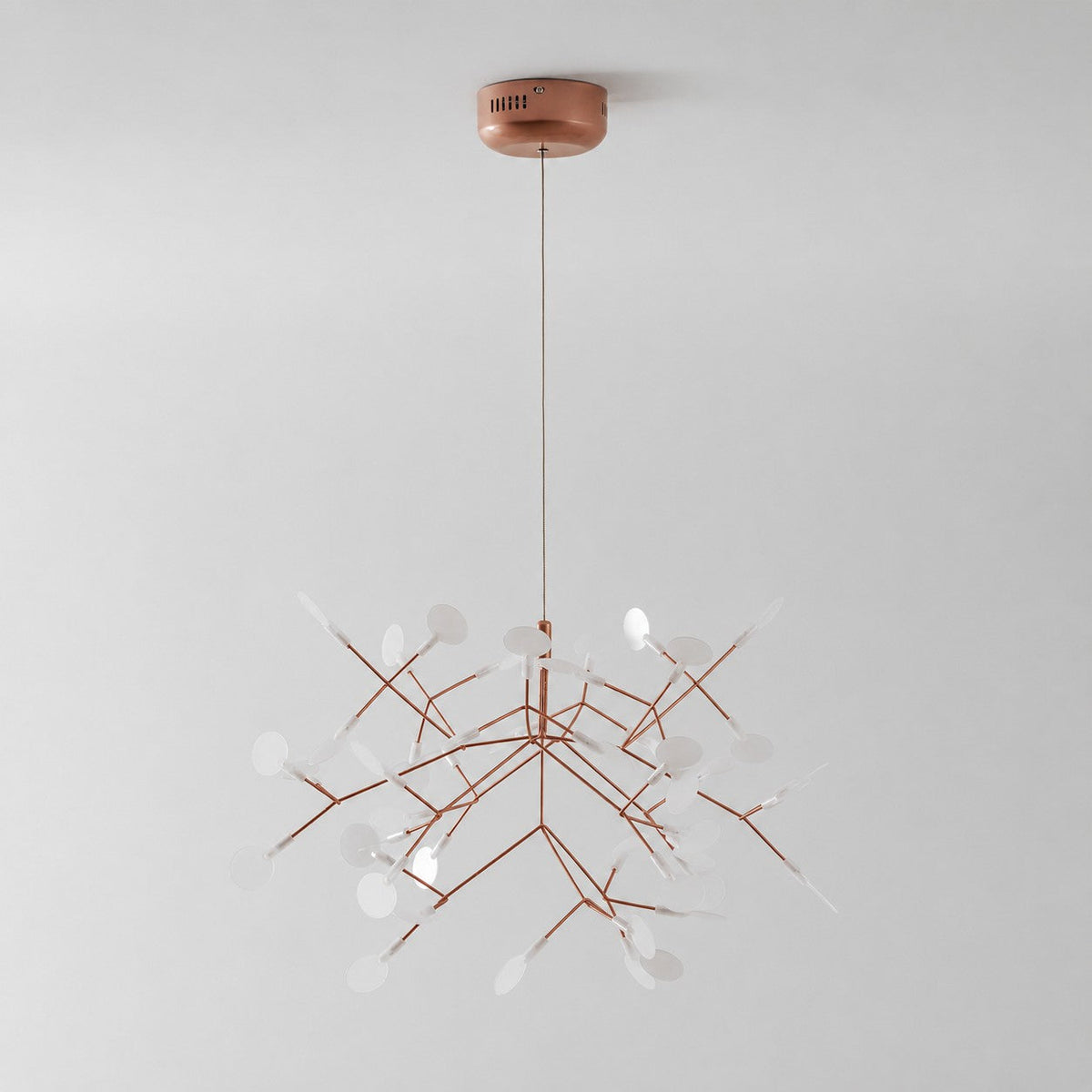 Lampadario Heracleum
