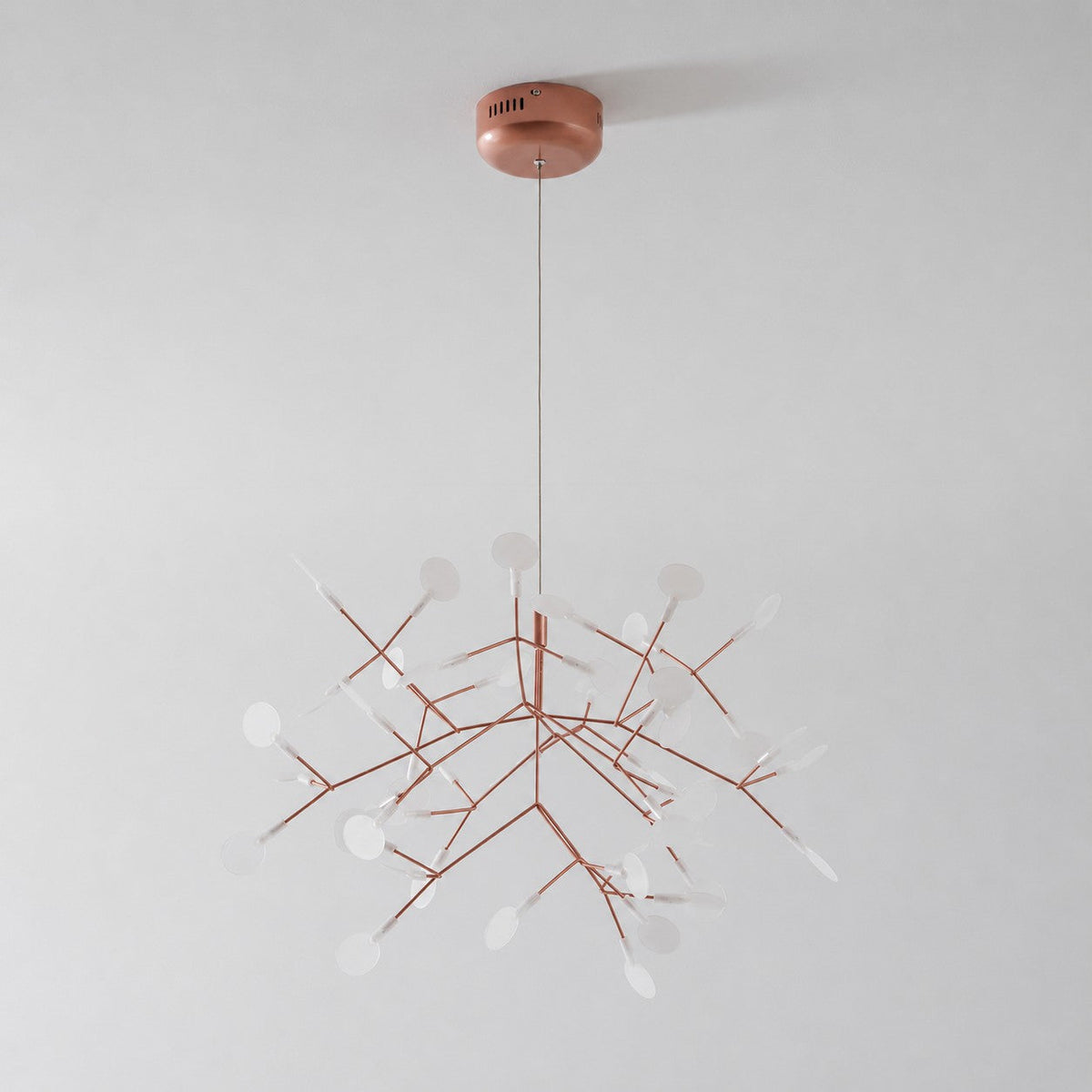 Lampadario Heracleum