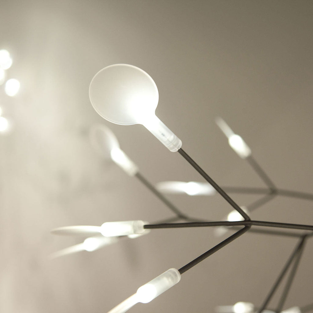 Lampadario Heracleum