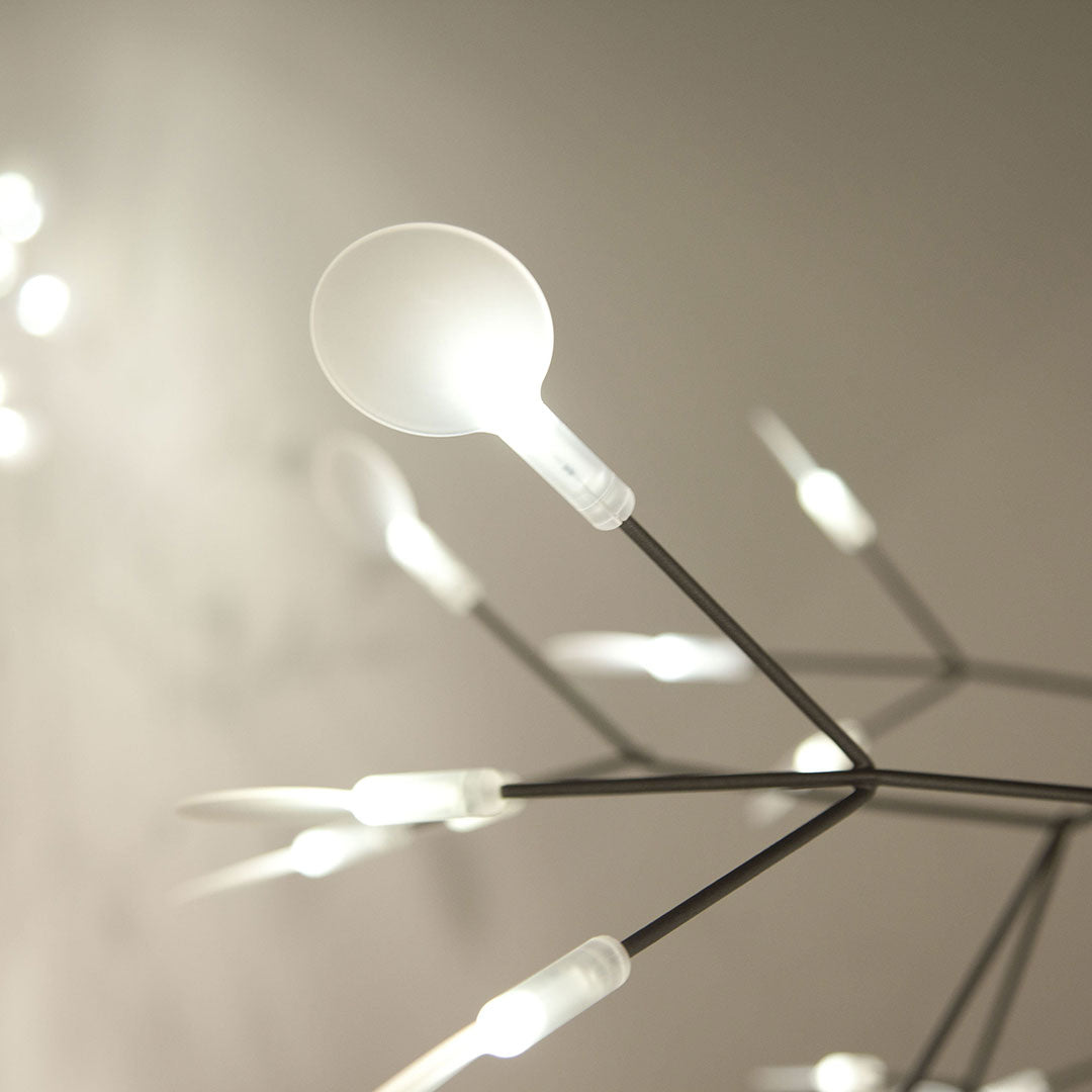 Lampadario Heracleum
