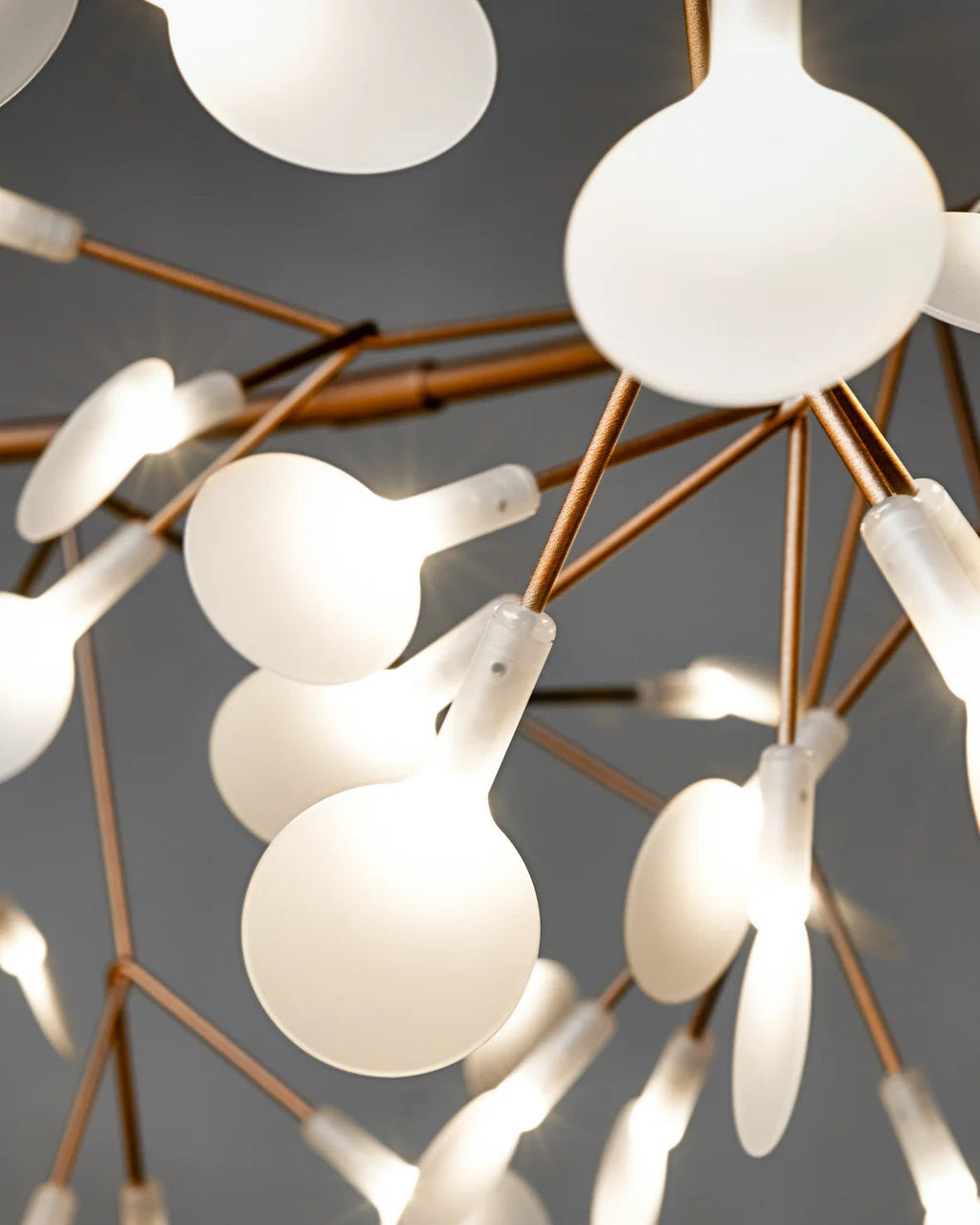 Lampadario Heracleum