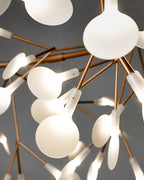 Lampadario Heracleum
