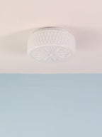 Lampada da soffitto Adler
