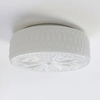 Lampada da soffitto Adler