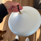 Lampada a sospensione Kichler Danika