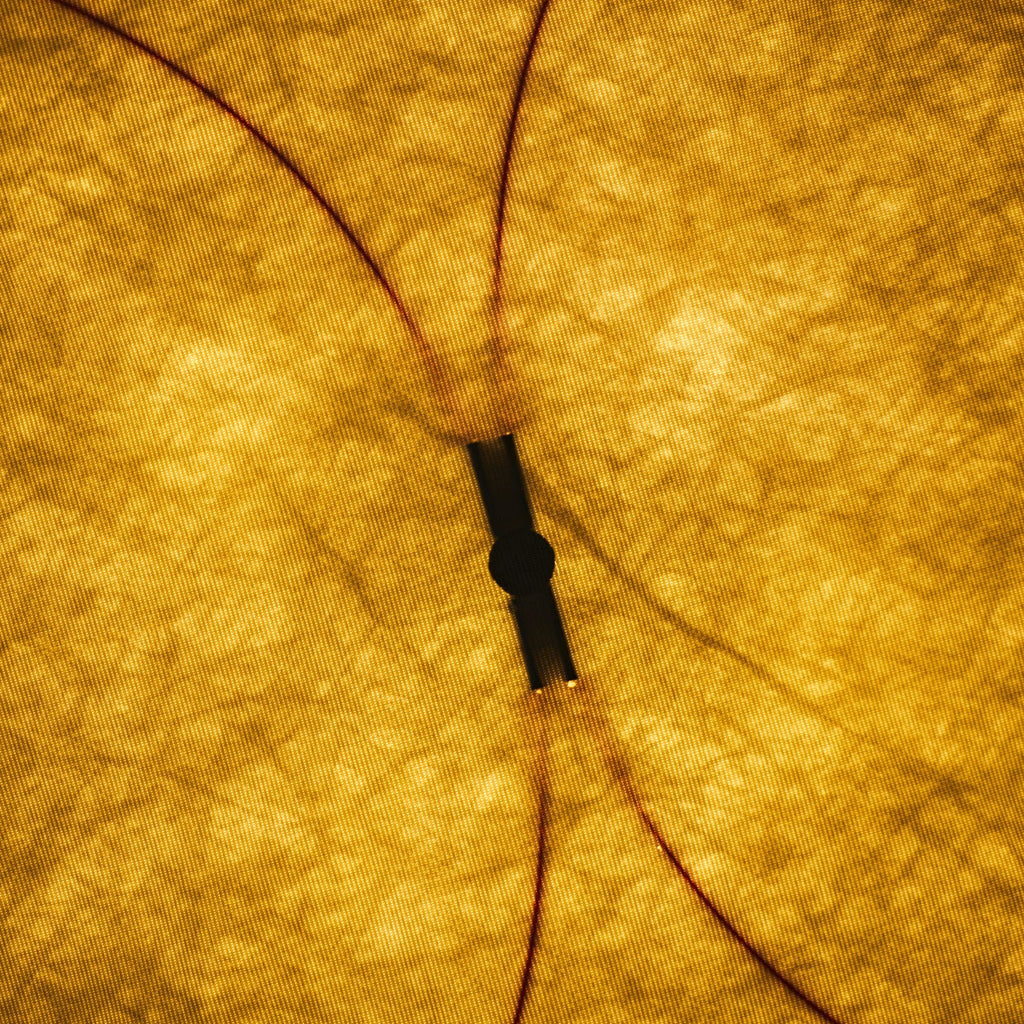 Lampada da Parete Plug-in in Carta DuPont
