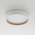 Arisha Moderne LED Plafoniere Metallo Bianca/Grigia/Nera Rotonda