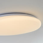 Arisha Moderne LED Plafoniere Forma Ciottoli