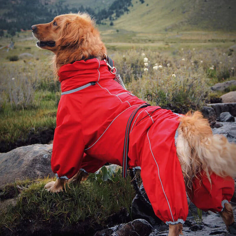 Cappotto Impermeabile per Cani – Giacca Outdoor Regolabile per Cani