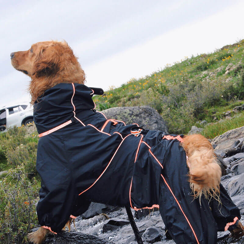 Cappotto Impermeabile per Cani – Giacca Outdoor Regolabile per Cani
