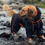Cappotto Impermeabile per Cani – Giacca Outdoor Regolabile per Cani