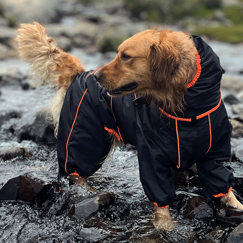 Cappotto Impermeabile per Cani – Giacca Outdoor Regolabile per Cani