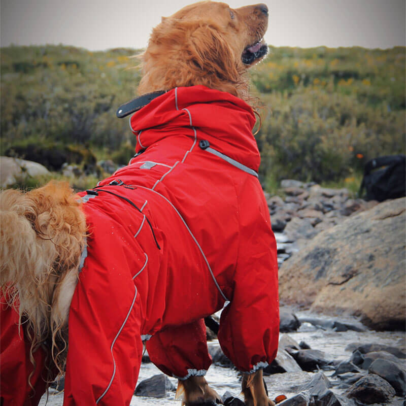 Cappotto Impermeabile per Cani – Giacca Outdoor Regolabile per Cani