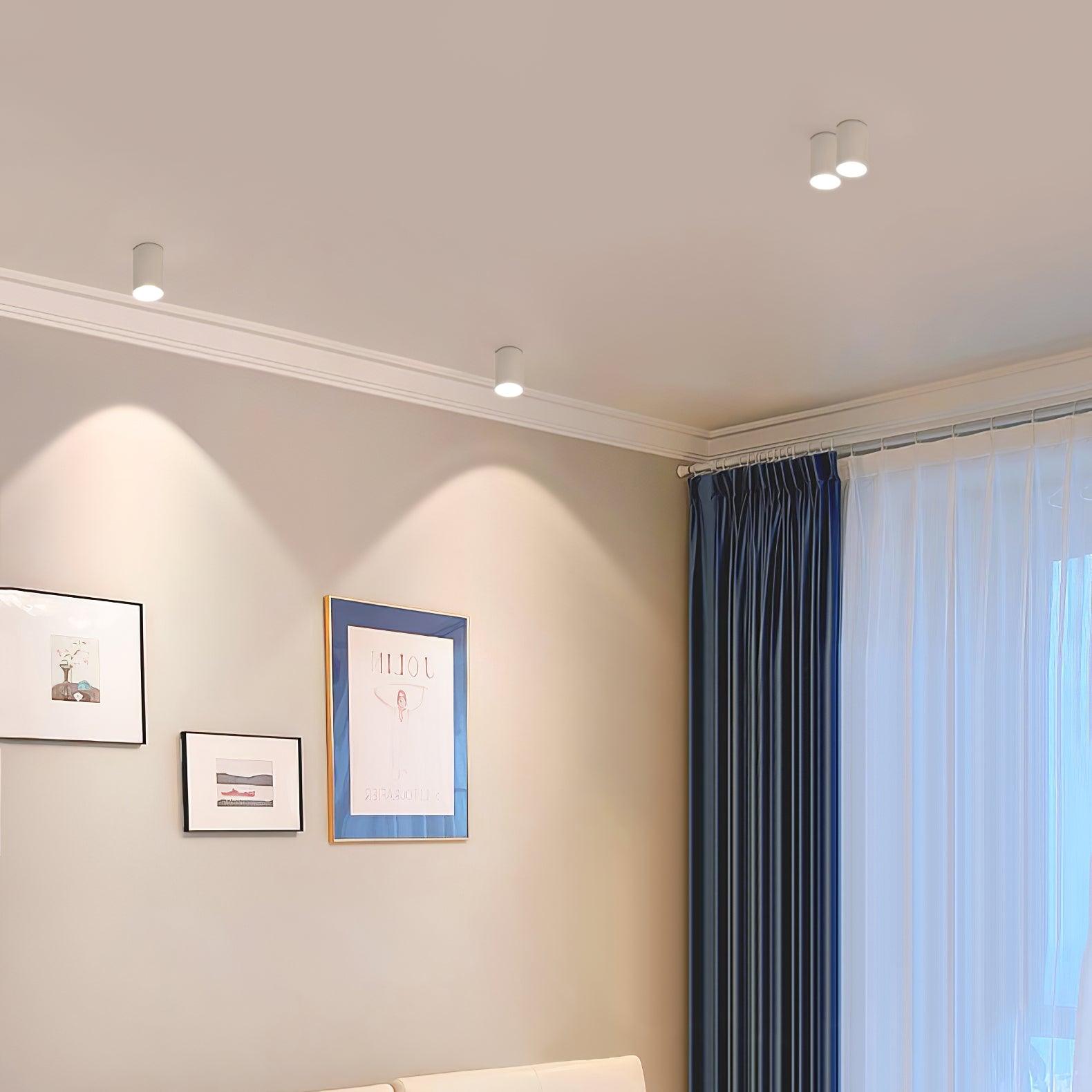 Lampada da soffitto Lenu – Metallo – Nero/Bianco – Ø 10 cm – Design moderno con tecnologia LED