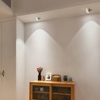 Lampada da soffitto Lenu – Metallo – Nero/Bianco – Ø 10 cm – Design moderno con tecnologia LED