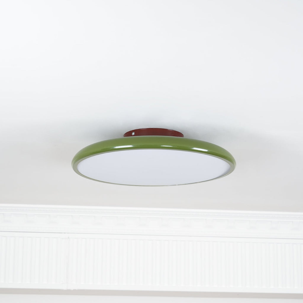 Fyne Lampada da Soffitto Regolabile Colorata per Camera da Letto