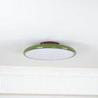 Fyne Lampada da Soffitto Regolabile Colorata per Camera da Letto