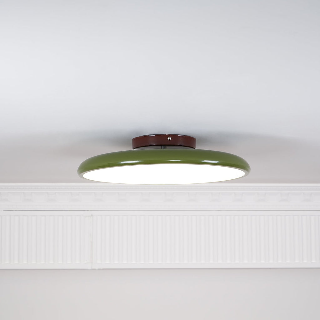 Fyne Lampada da Soffitto Regolabile Colorata per Camera da Letto