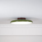 Fyne Lampada da Soffitto Regolabile Colorata per Camera da Letto