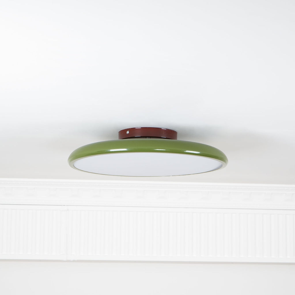 Fyne Lampada da Soffitto Regolabile Colorata per Camera da Letto