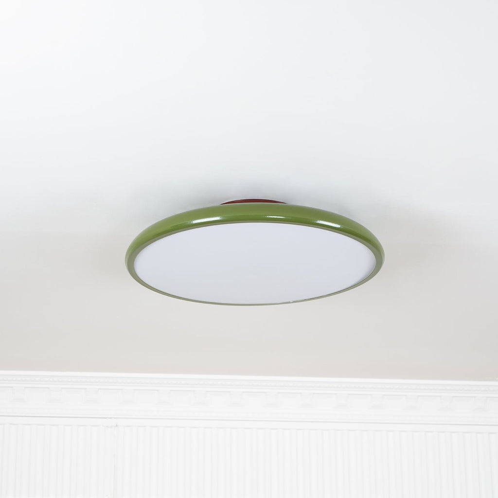 Fyne Lampada da Soffitto Regolabile Colorata per Camera da Letto