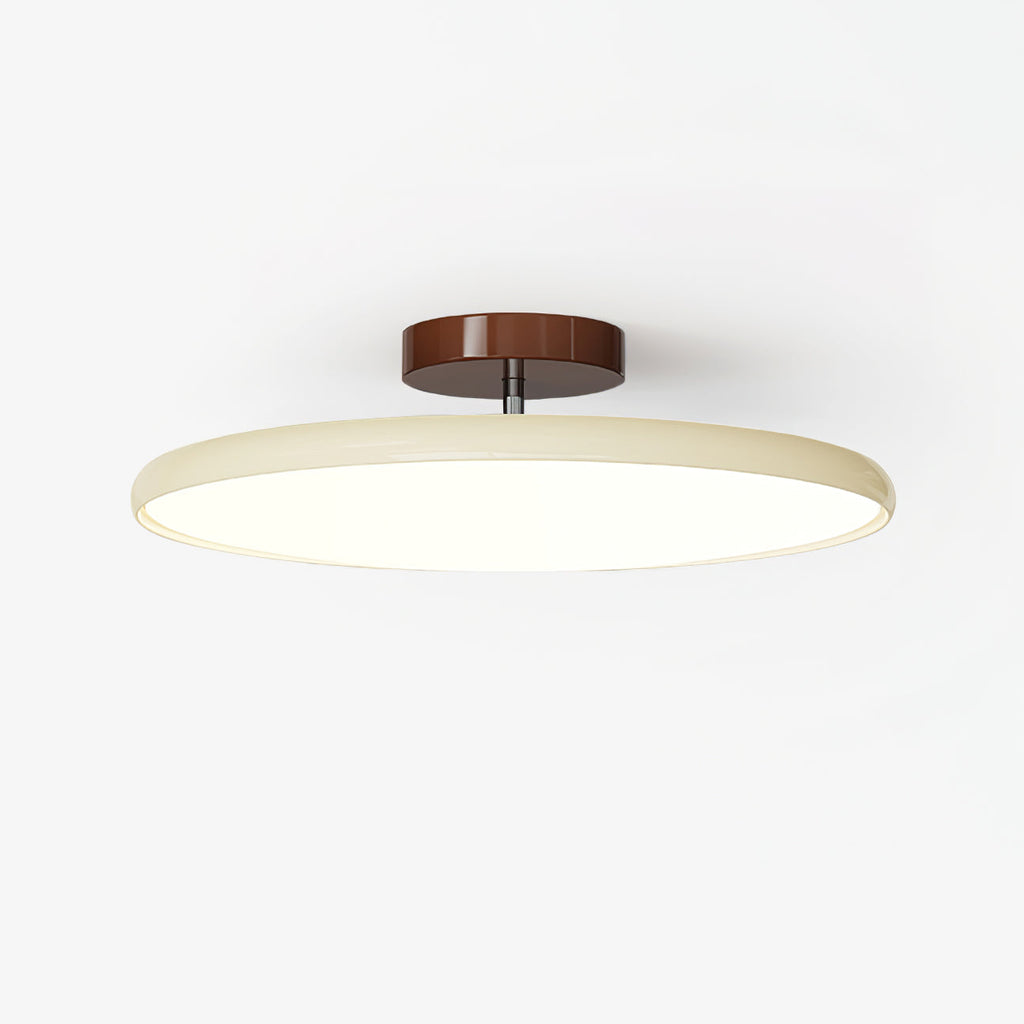 Fyne Lampada da Soffitto Regolabile Colorata per Camera da Letto