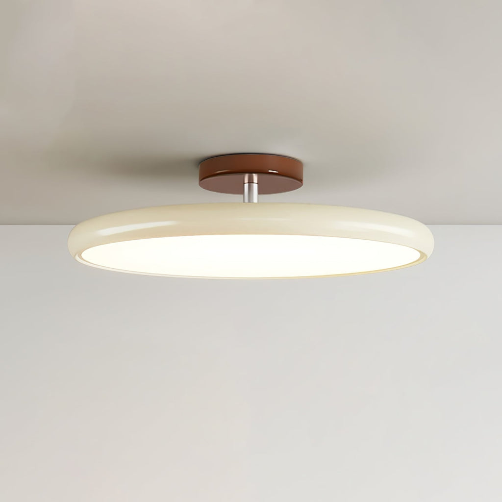 Fyne Lampada da Soffitto Regolabile Colorata per Camera da Letto
