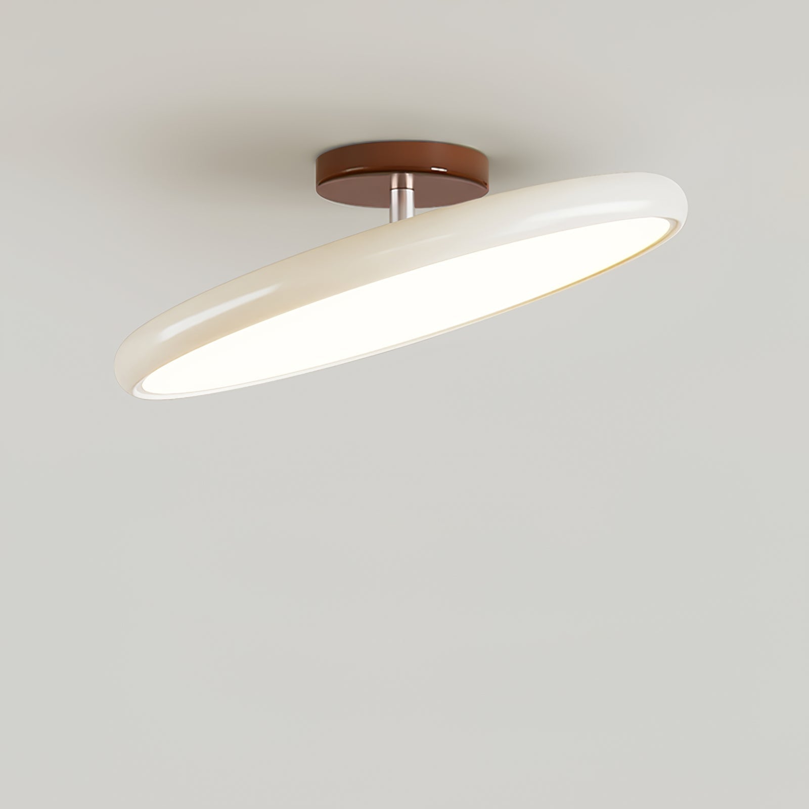 Fyne Lampada da Soffitto Regolabile Colorata per Camera da Letto