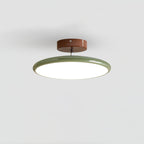 Fyne Lampada da Soffitto Regolabile Colorata per Camera da Letto