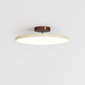Fyne Lampada da Soffitto Regolabile Colorata per Camera da Letto