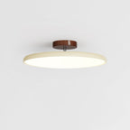 Fyne Lampada da Soffitto Regolabile Colorata per Camera da Letto