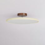 Fyne Lampada da Soffitto Regolabile Colorata per Camera da Letto