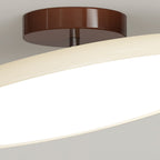 Fyne Lampada da Soffitto Regolabile Colorata per Camera da Letto