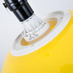 Applique di Plastica Palloncino Allegra