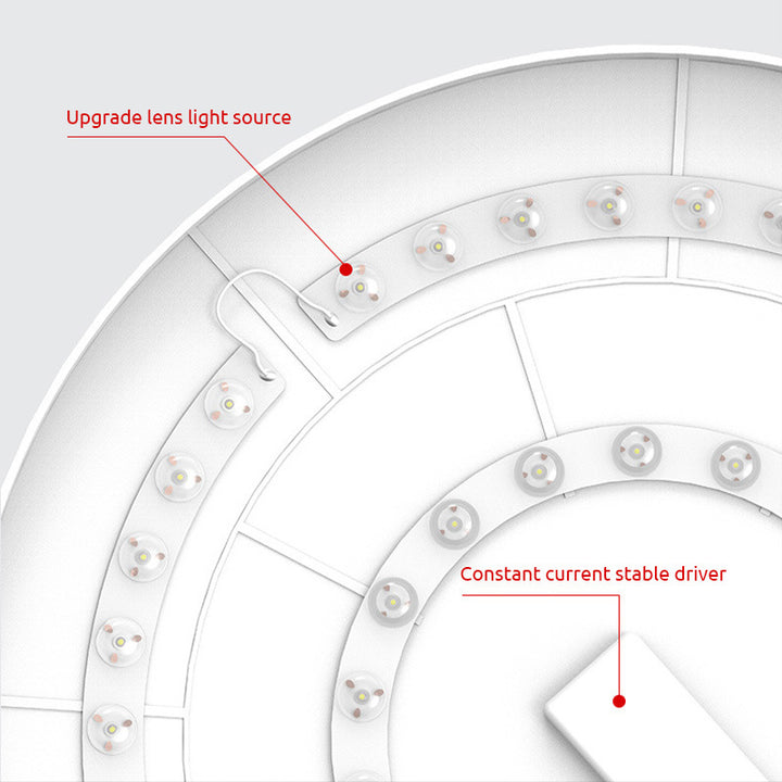 Lampada da Soffitto LED Rotonda Minimalista Fissa Bianca
