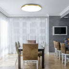 Lampada da Soffitto LED Rotonda Minimalista Fissa Bianca