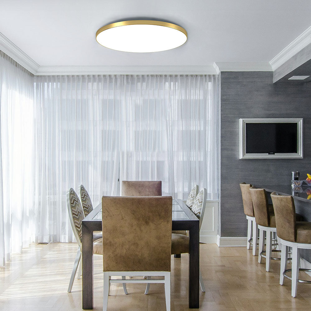 Lampada da Soffitto LED Rotonda Minimalista Fissa Bianca