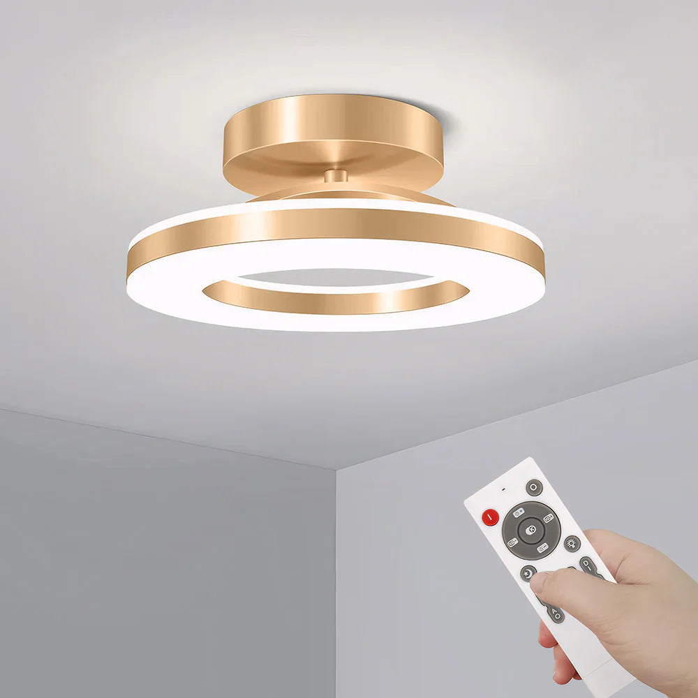 Lampada da soffitto rotonda in ferro moderno chic