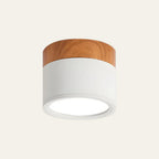 Lampada da soffitto moderna – Alluminio – Bianco – Ø 20 cm – Minimalista e a risparmio energetico